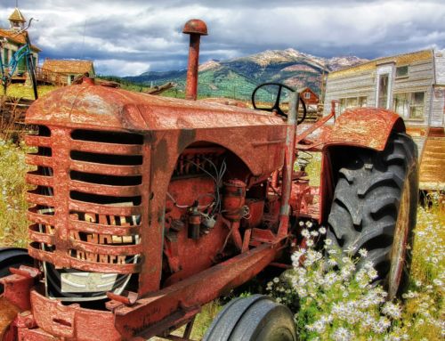 AGRICOLTURA: DUE MILIONI DI EURO PER SERVIZI DI CONSULENZA ALLE AZIENDE AGRICOLE